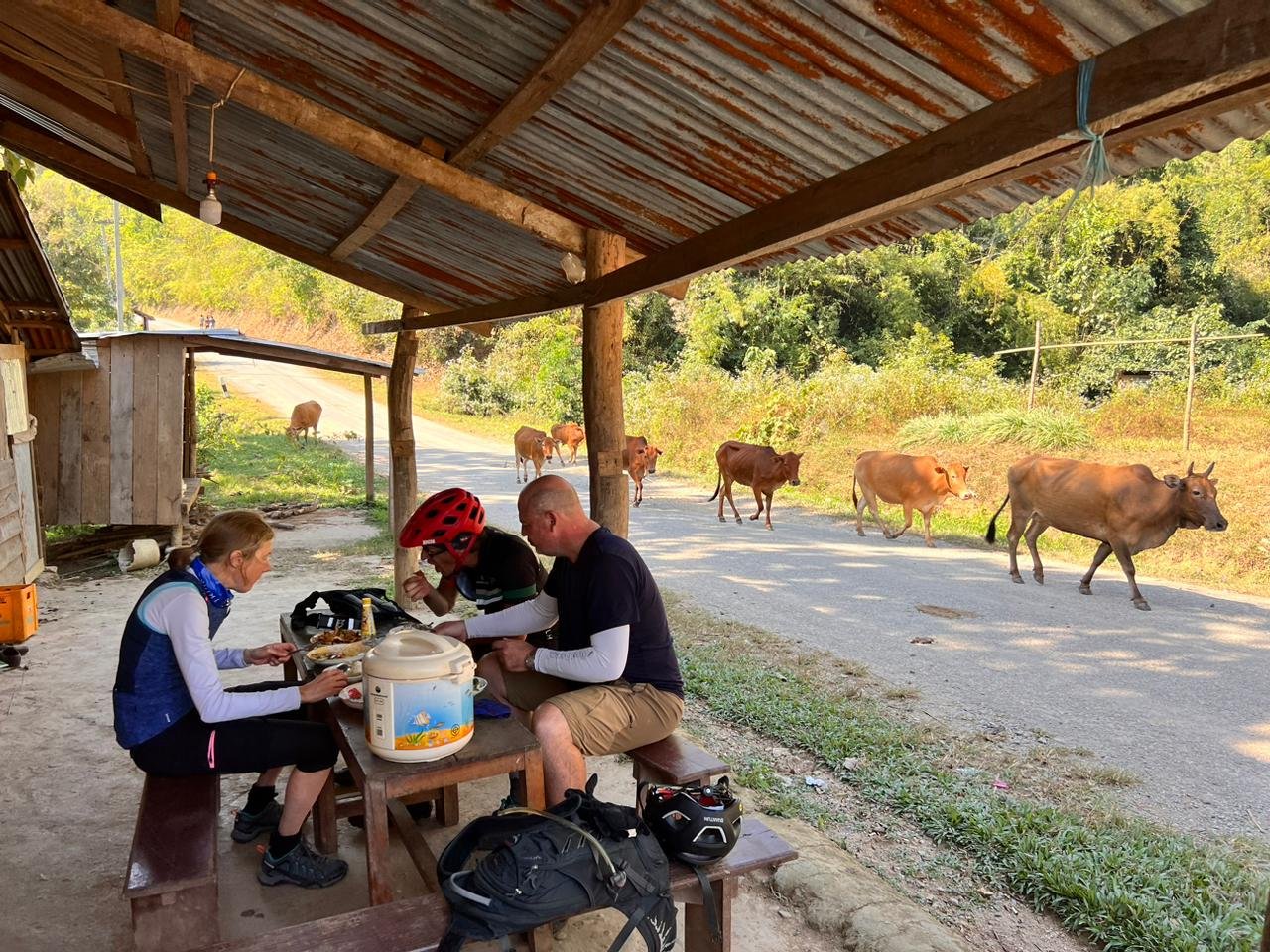 22 Days Hanoi Cycling to Luang Prabang and to Chiang Mai